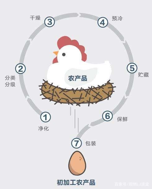 食用农产品与初级农产品和农产品初加工的类别范围及区别