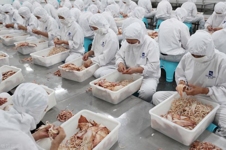 企业人员加工产品图食品产业是世界上产品种类最多,规模最大和就业