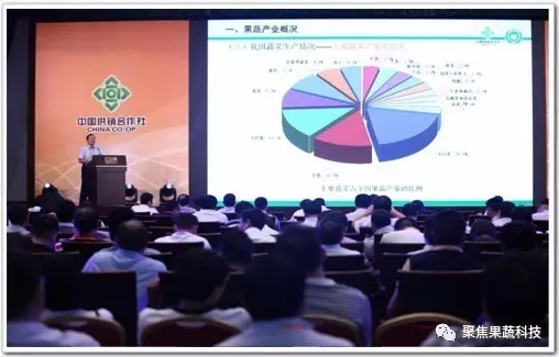 济南果品研究院改革促进社会化服务能力提升