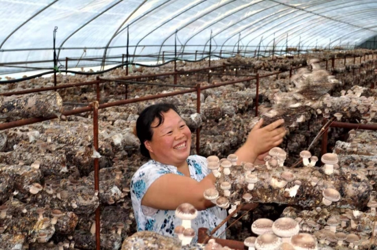 河北平泉市 高质量完成国家现代农业产业园创建任务，推动食用农产品初加工提质增效
